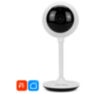 Умная камера видеонаблюдения WIFI IP 1Мп 720P TC10