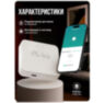 Центр управления умным домом Zigbee-BLE PS-TYZBG-01 WIFI/Bluetooth модуль